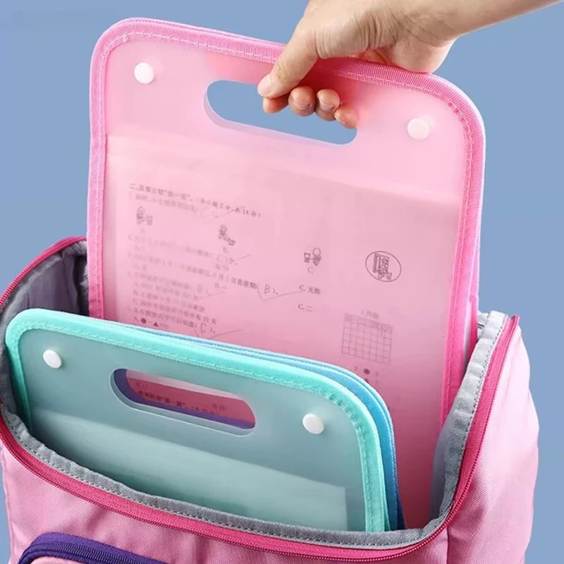 13-vakjes A4 accordeonmap, dra - Expandable Accordion File Folder 13 Pockets recensie en prijs
